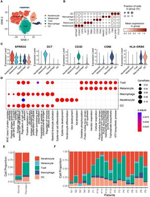 Single-cell sequencing analysis and multiple machine-learning models revealed the cellular crosstalk of dendritic cells and identified FABP5 and KLRB1 as novel biomarkers for psoriasis